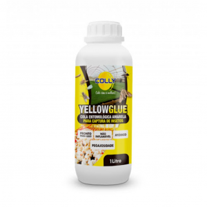 Cola Entomológica YELLOW GLUE